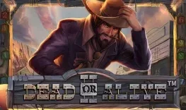 Dead or Alive 2 at Seven Casino